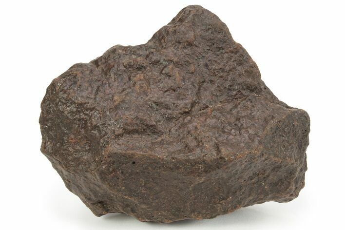 Chondrite Meteorite ( g) - Western Sahara Desert #232925